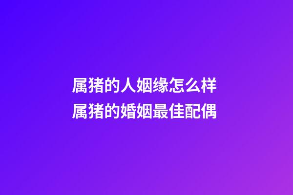 属猪的人姻缘怎么样 属猪的婚姻最佳配偶-第1张-观点-玄机派